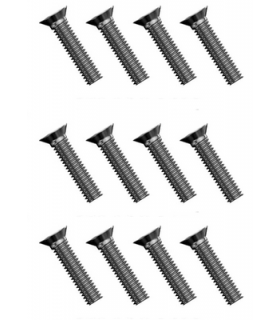Tornillos de cabeza plana (12)