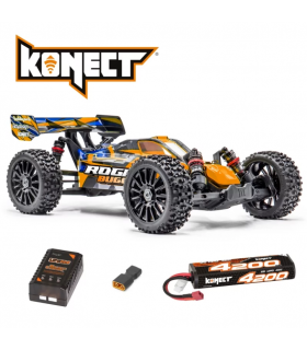 Hobbytech Rogue Buggy...