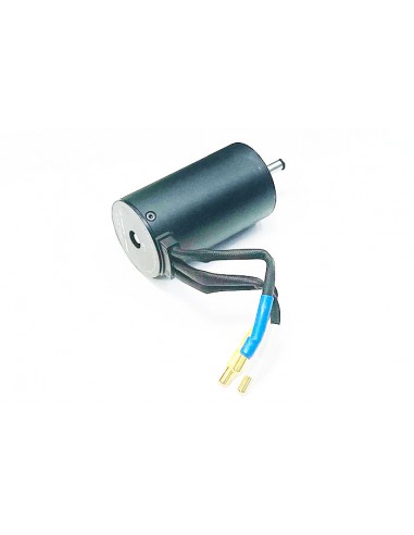 Motor brushless