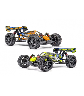 Combo Hobbytech Rogue Buggy...